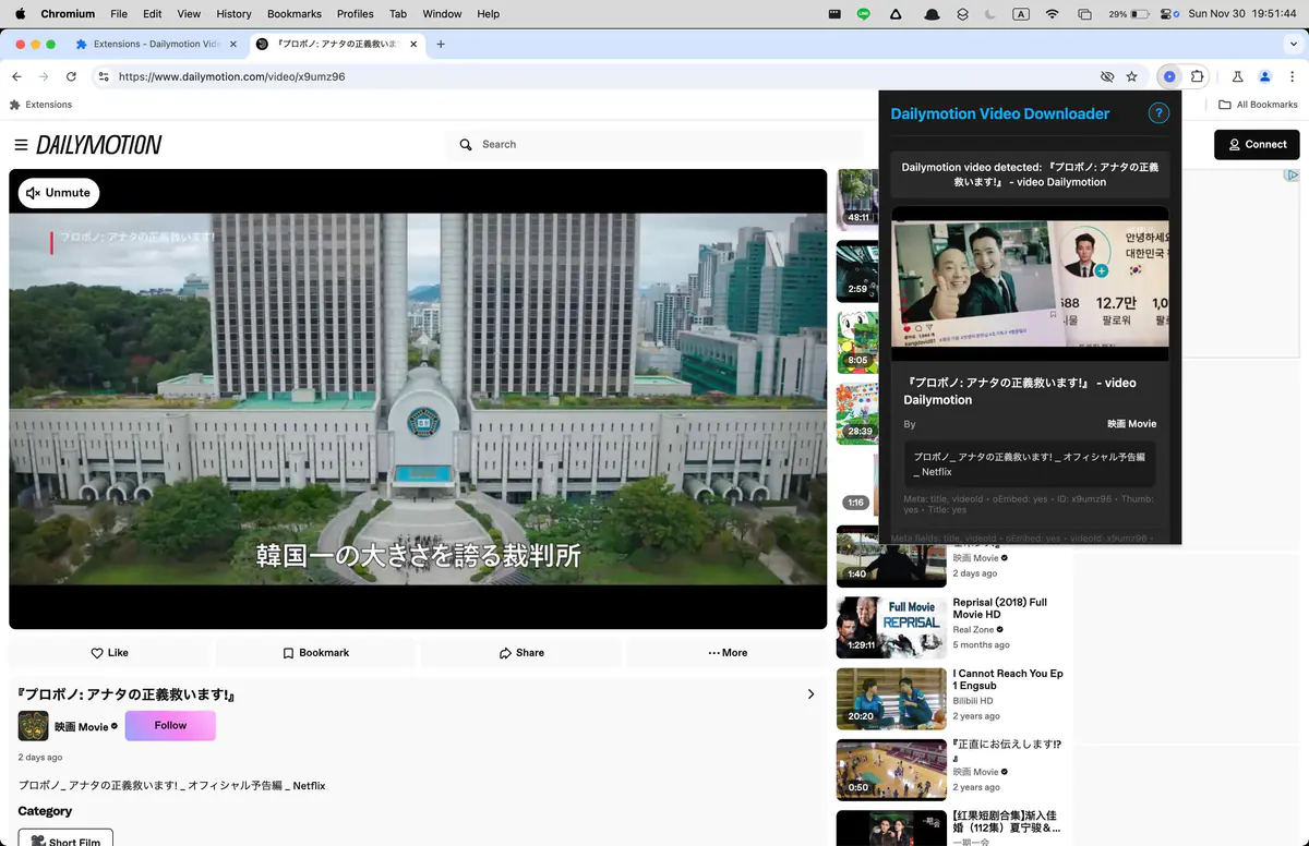 Dailymotion Video Downloader screenshot 3