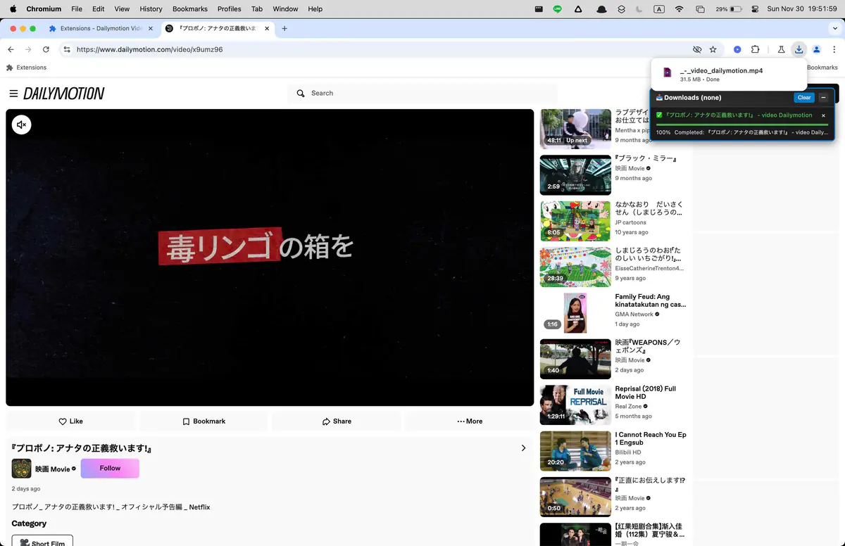 Dailymotion Video Downloader screenshot 4